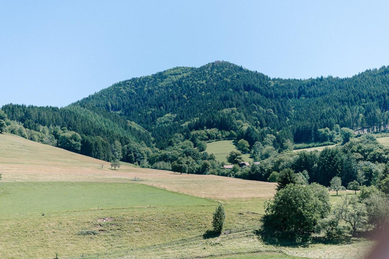 Rustikale 3 Zi.-Fewo Naehe Freiburg 70Qm Simonswald Exterior photo